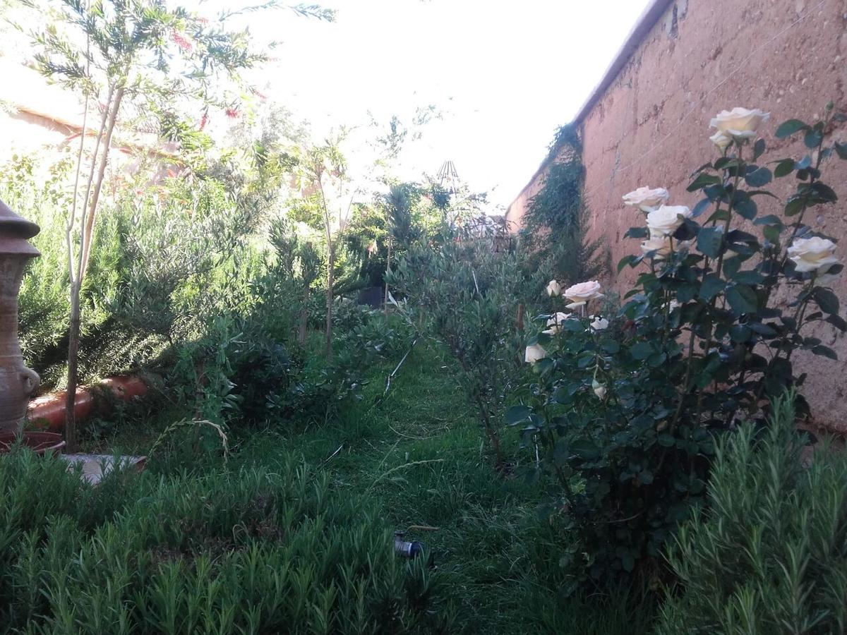 Auberge Toda Aït Igad Eksteriør bilde